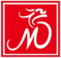 青島婉禎物流有限公司的圖標