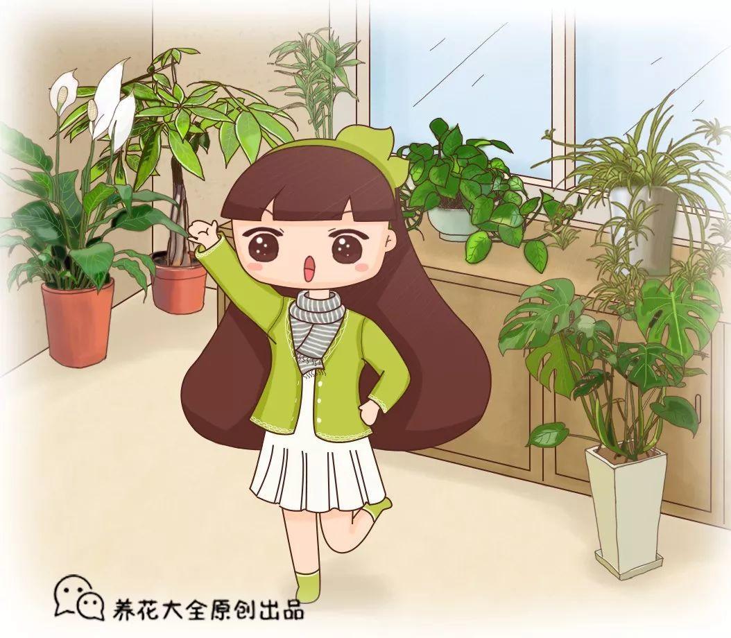 人養(yǎng)花，花也養(yǎng)人，這15種花，越養(yǎng)家里越干凈