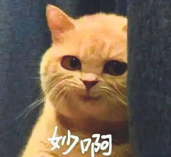 2020網(wǎng)絡流行語來了！