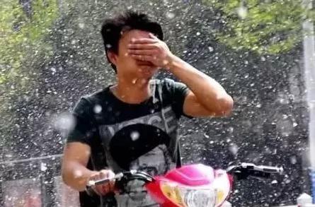 山東下“雪”？別讓四月漫天飄絮毀掉愛車！