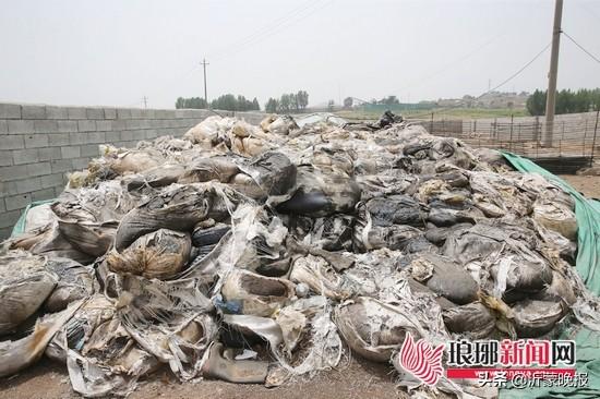 挖坑掩埋150余噸危險(xiǎn)廢物！臨沂這四人被刑拘了