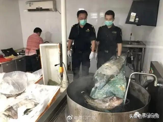 緊急攔截！全部銷毀！臨沂全市大檢查