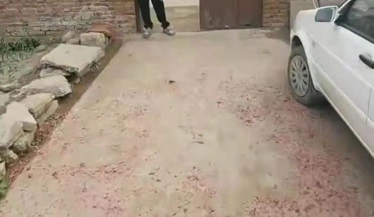 查處現(xiàn)場直擊，臨沂又有一批人被曝光！