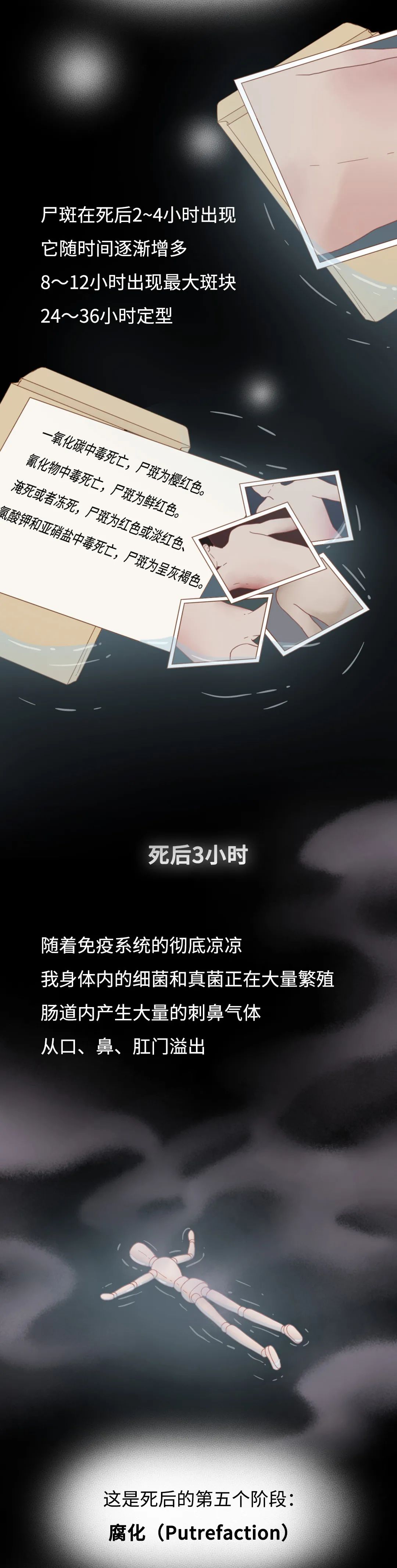 膽小勿入！人死后的24小時，身體竟會發(fā)生這些變化…
