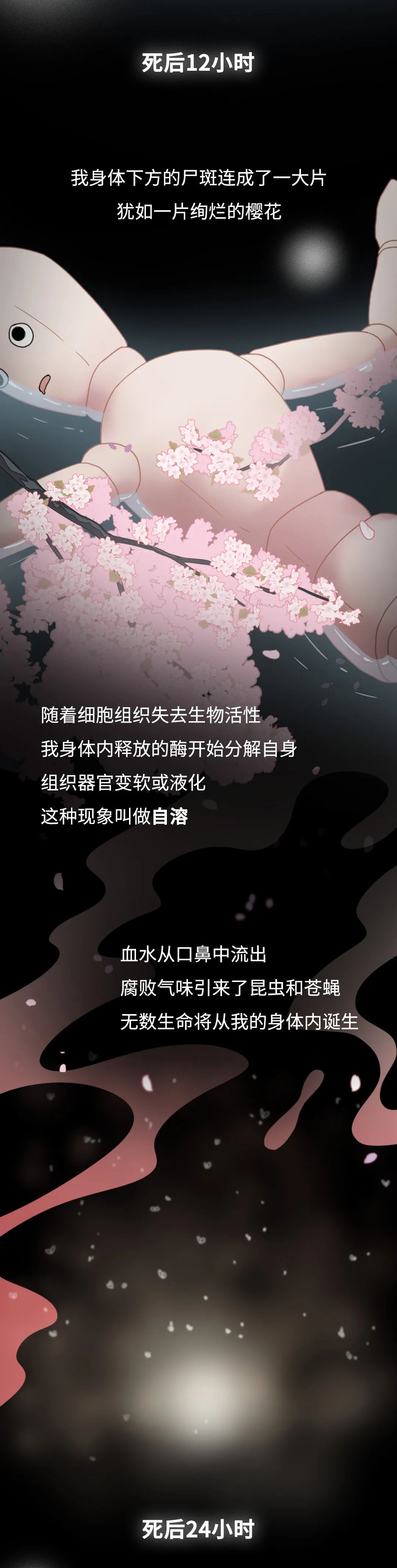 膽小勿入！人死后的24小時，身體竟會發(fā)生這些變化…