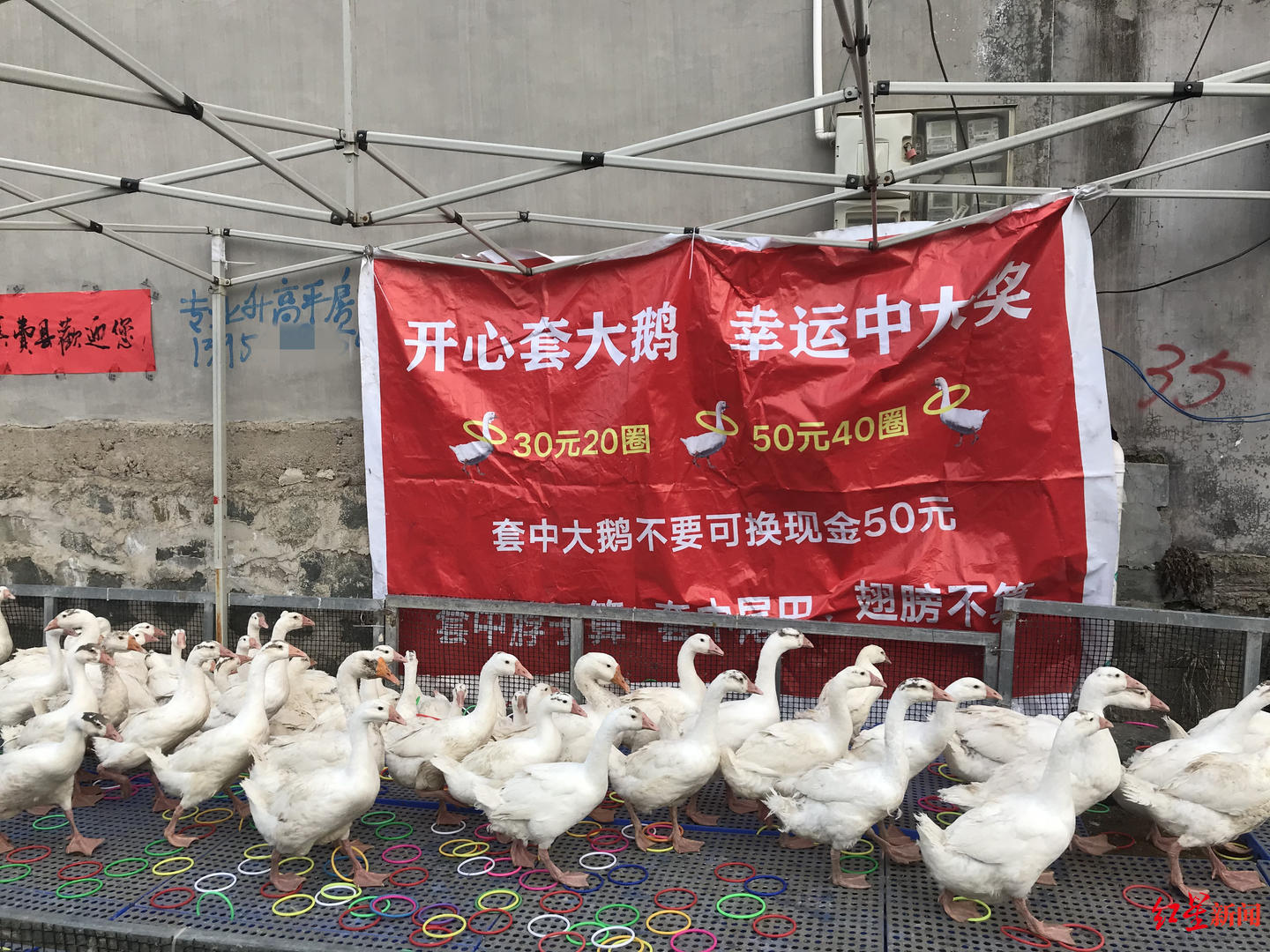 馬蹄河村的“拉面哥經(jīng)濟(jì)”