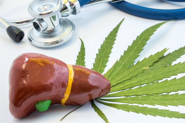 膽囊對人體有多重要？切除有何后果？膽囊切除4大疑問一次說清