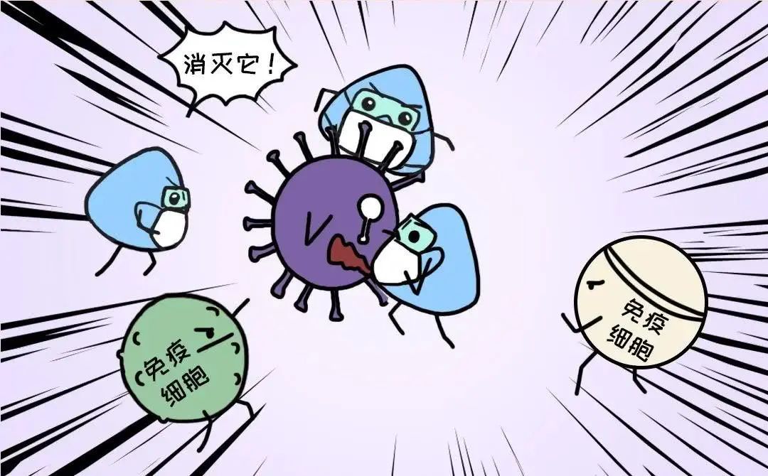 3針新冠疫苗效果最好？1針、2針、3針疫苗有什么區(qū)別？醫(yī)生告訴你
