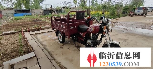 17年大陽(yáng)三輪車(chē)
