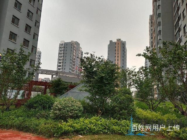 精裝修證過二，金陽花園3室2廳2衛(wèi)好樓層邊套誠心出售