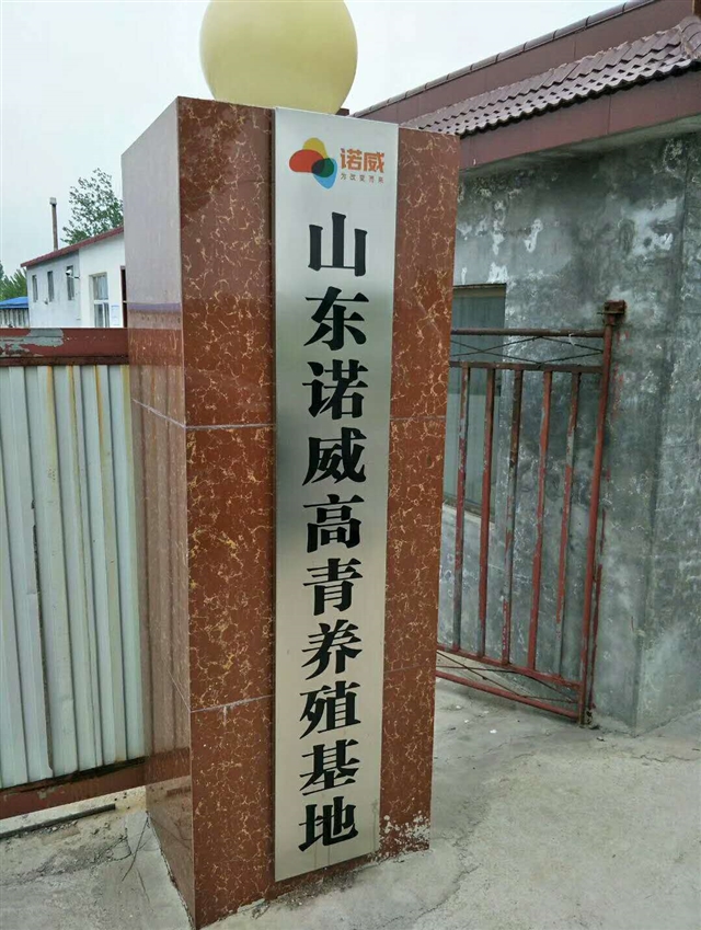 提供山東省內(nèi)非洲豬瘟檢測(cè)的圖標(biāo)