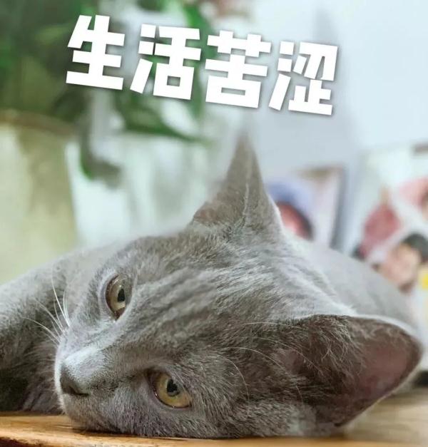 朋友借錢不還，我手里有聊天記錄和轉(zhuǎn)賬記錄，能追回我的錢嗎？民法典有話說