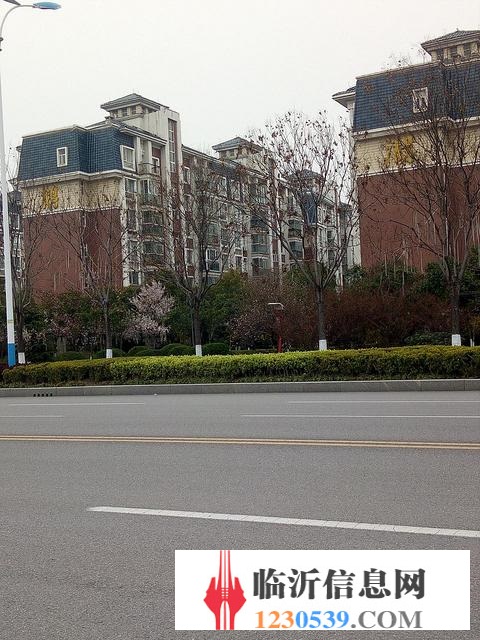 翡翠傳奇 電梯房無 稅費 有車位 雙衛(wèi) 市政供暖 杏園學(xué) 區(qū)
