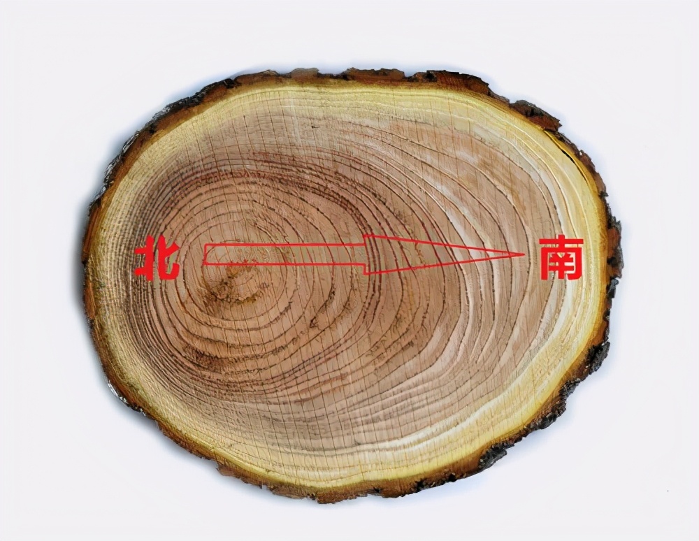 生活中的那些你不知道的小常識(shí)(一)