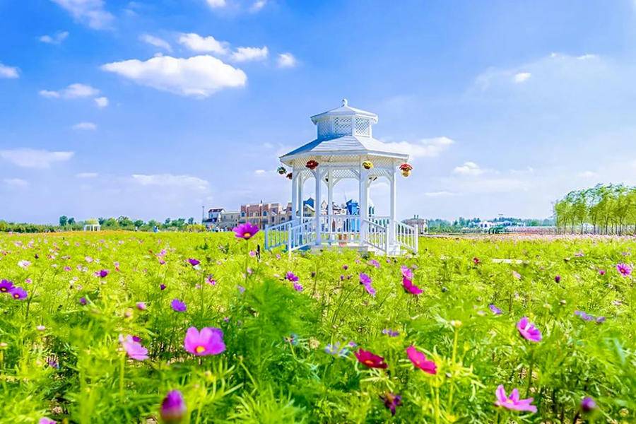 “5·19”中國(guó)旅游日｜臨沂人游臨沂，一大波福利來啦