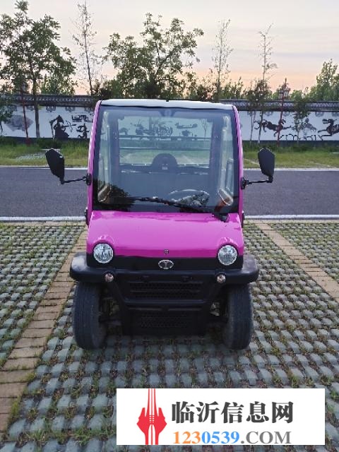 大陽電動車，全新電瓶