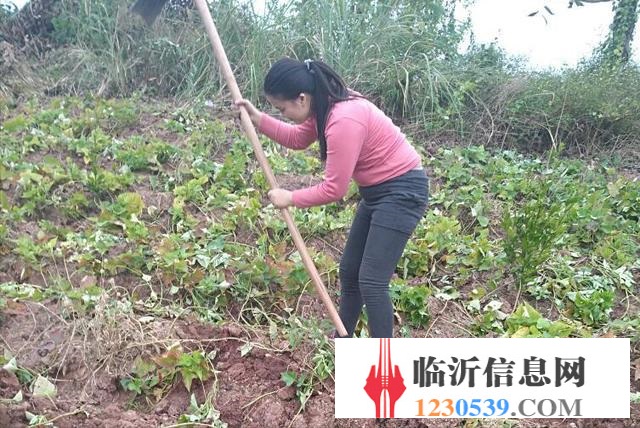 尋找妹妹