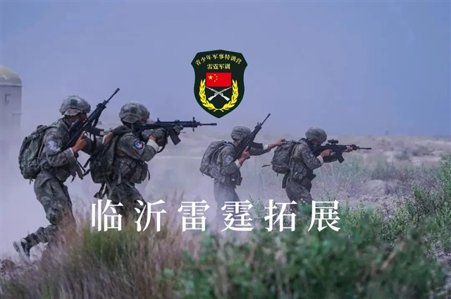 臨沂雷霆拓展服務(wù)有限公司的圖標(biāo)